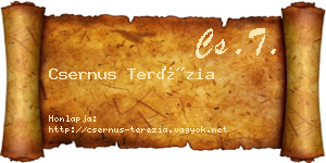 Csernus Terézia névjegykártya