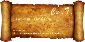 Csernus Terézia névjegykártya